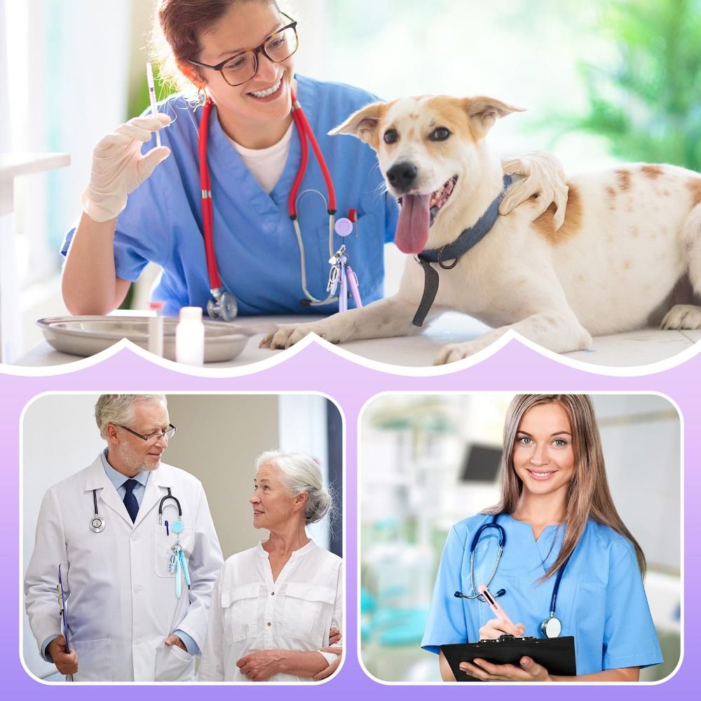DIY Einziehbares Krankenschwes – Penn Reel Fierce Bewertung und Preis